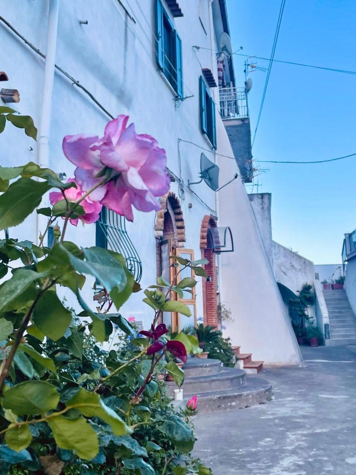 Il Cortile Fiorito Apartamento Scala